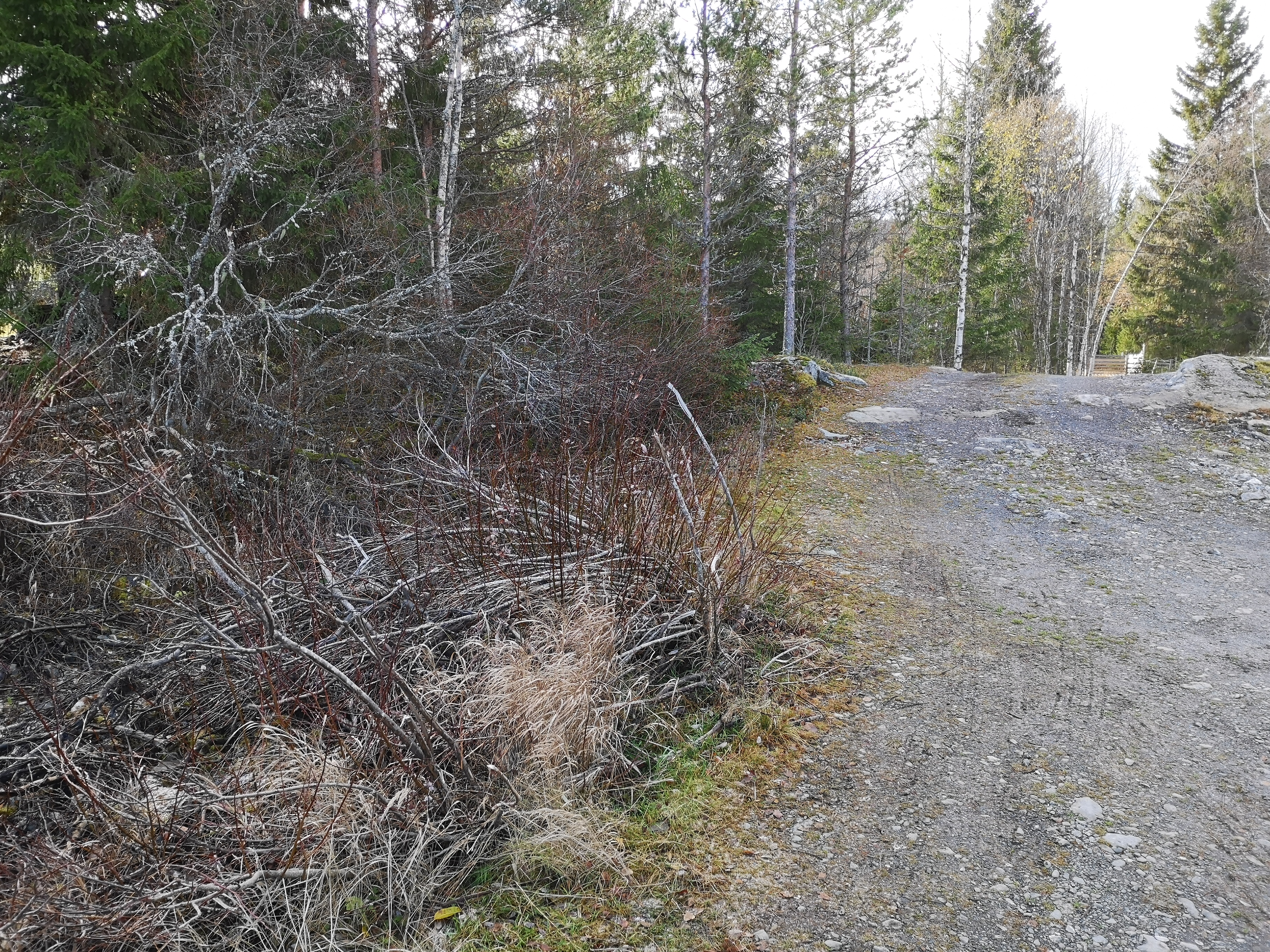 Hvor går grensa